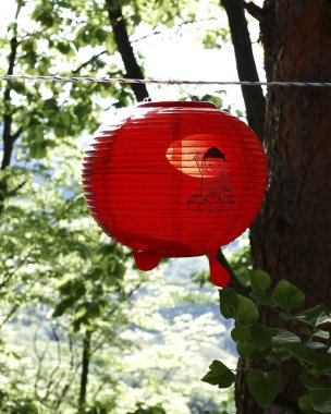 Parkta kırmızı ve beyaz balon