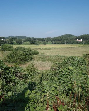 Kırsal manzarası çok güzel.