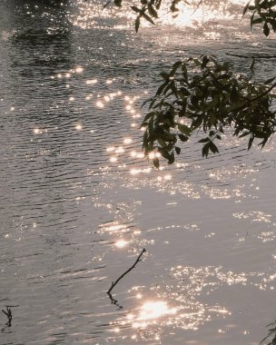 Sabah bir nehrin su yansıması