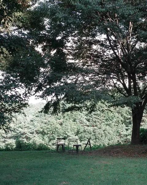 Parkın güzel manzarası