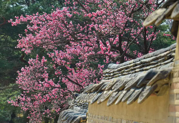 Güzel botanik fotoğrafı, doğal duvar kağıdı.