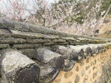 Eski şehrin güzel manzarası.