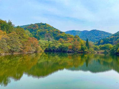 Göllü güzel bir manzara.