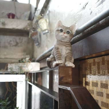 Kedi yerde oturuyor.