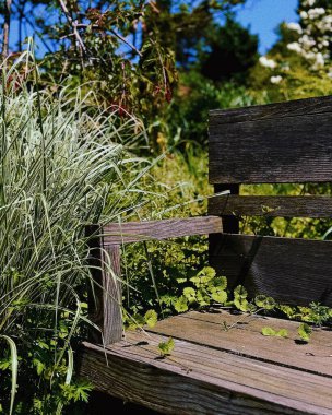 Tahta bir sandalye ve parkta bir bankın dikey görüntüsü.
