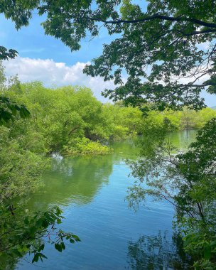 Güzel göl manzarası