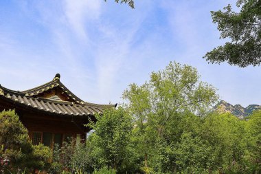 Tahta bir evi olan güzel bir manzara.