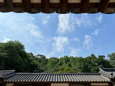 Parkın güzel manzarası