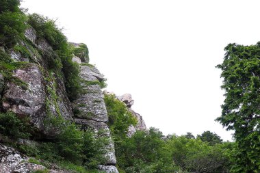 Güzel doğa manzarası.