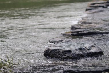 Nehir doğada, dijital fotoğraf