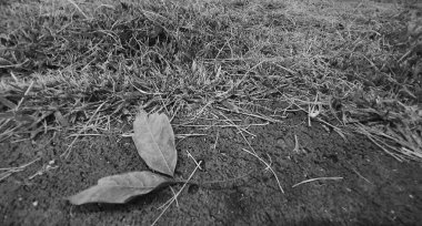 Paslı metal bir plaka.