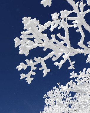 Kış kar manzarası