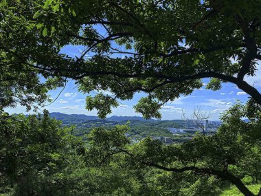 Parkın güzel manzarası