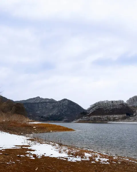 Önünde kar ve ağaçlar olan kış manzarası.