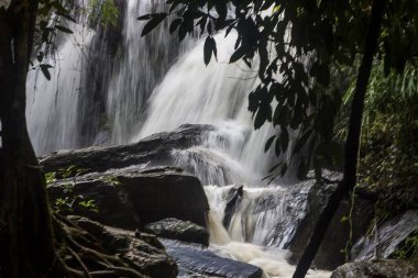 Ormanda Şelale, Tayland