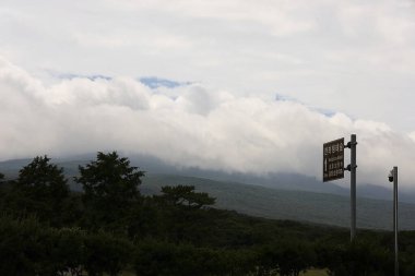 Ağacı ve bulutlu gökyüzü olan güzel bir manzara.