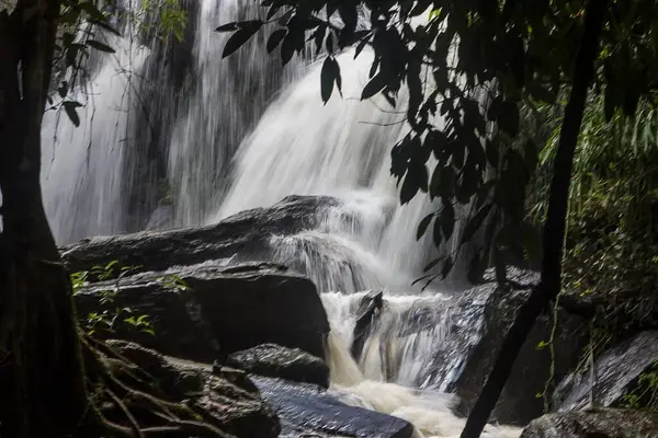 Ormanda Şelale, Tayland