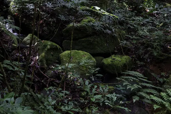 Doğanın güzel manzarası