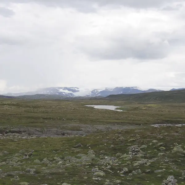 Doğanın güzel manzarası
