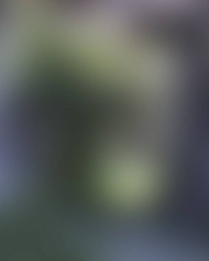 Renklerin soyut bulanık arkaplanı