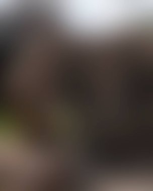 Renklerin soyut bulanık arkaplanı