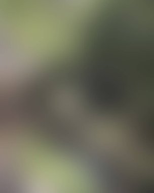 Renklerin soyut bulanık arkaplanı