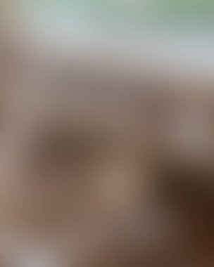 Renklerin soyut bulanık arkaplanı