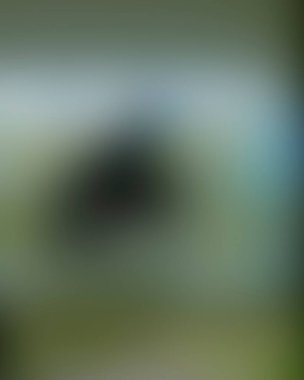 Renklerin soyut bulanık arkaplanı