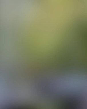 Renklerin soyut bulanık arkaplanı