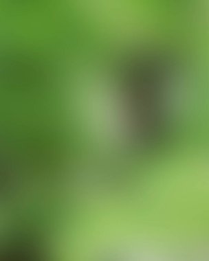 Renklerin soyut bulanık arkaplanı