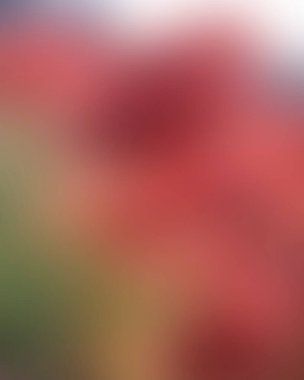 Renklerin soyut bulanık arkaplanı