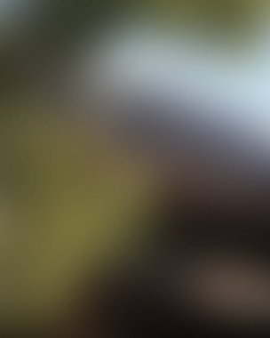 Renklerin soyut bulanık arkaplanı