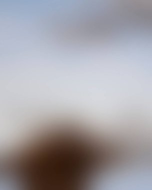 Renklerin soyut bulanık arkaplanı