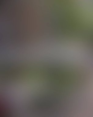 Renklerin soyut bulanık arkaplanı