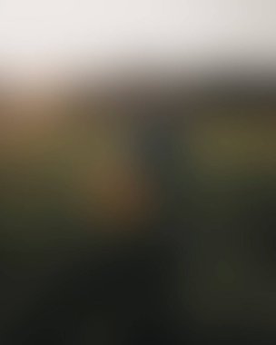 Renklerin soyut bulanık arkaplanı