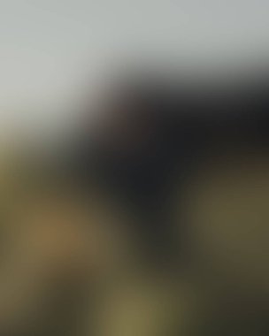 Renklerin soyut bulanık arkaplanı