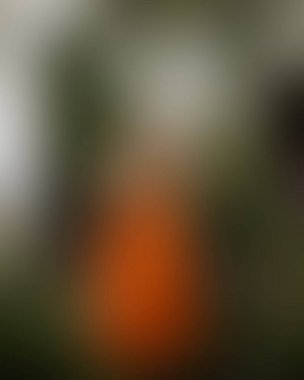 Renklerin soyut bulanık arkaplanı