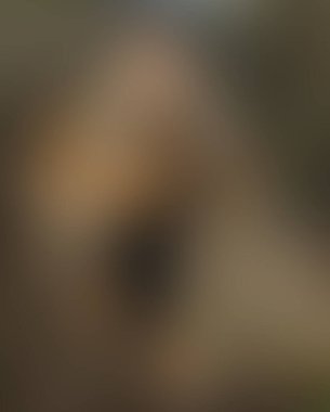 Renklerin soyut bulanık arkaplanı