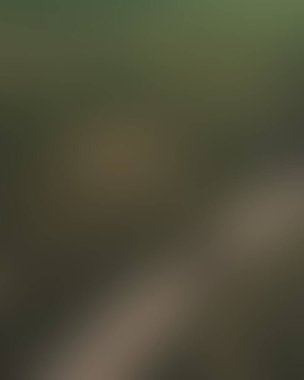 Renklerin soyut bulanık arkaplanı