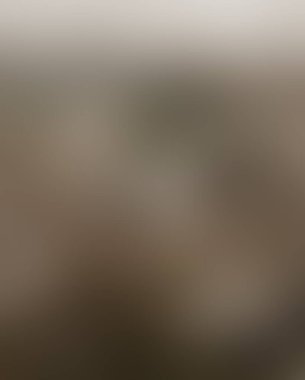 Renklerin soyut bulanık arkaplanı