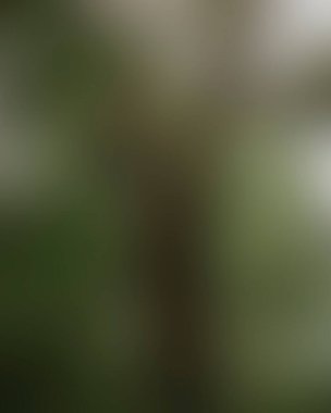 Renklerin soyut bulanık arkaplanı