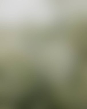 Renklerin soyut bulanık arkaplanı