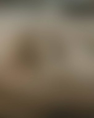 Renklerin soyut bulanık arkaplanı