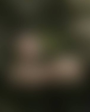 Renklerin soyut bulanık arkaplanı