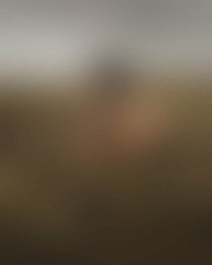 Renklerin soyut bulanık arkaplanı