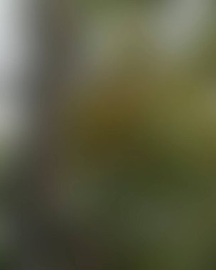 Renklerin soyut bulanık arkaplanı