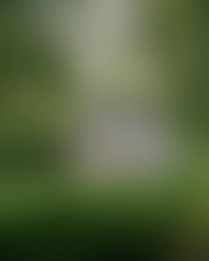 Renklerin soyut bulanık arkaplanı