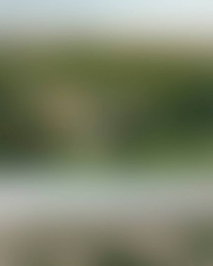 Renklerin soyut bulanık arkaplanı