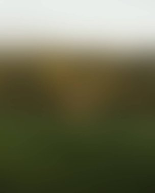 Renklerin soyut bulanık arkaplanı