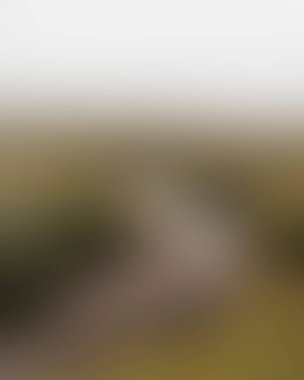 Renklerin soyut bulanık arkaplanı